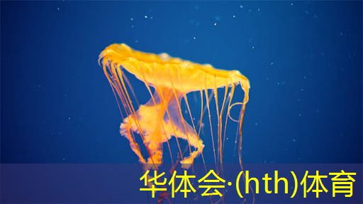 华体育hth：手机怎么玩3d真人版电脑游戏