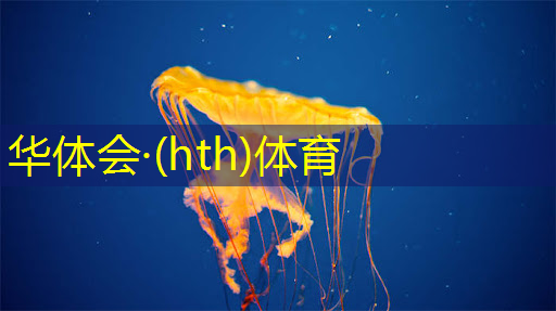 华体会·(hth)体育：3d魔法击杀怪物的游戏