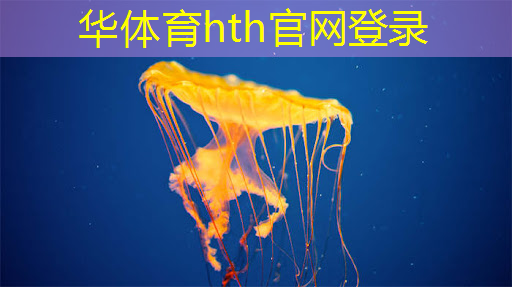 HTH华体会登录入口：做游戏小程序测试好做吗