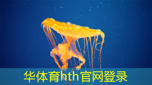 手机怎么玩3d真人版电脑游戏