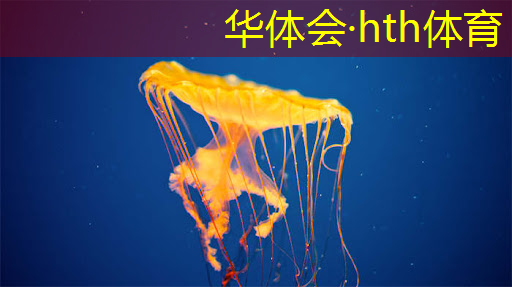 3d魔法击杀怪物的游戏