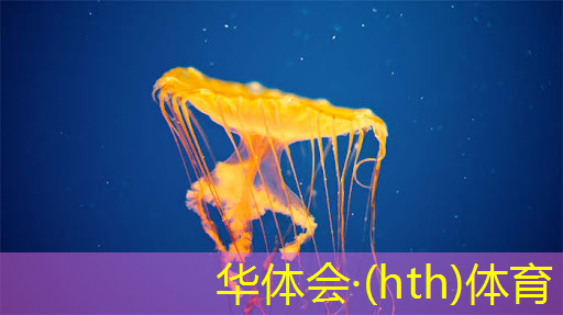 华体会·hth体育：早期经典3d单机游戏有哪些