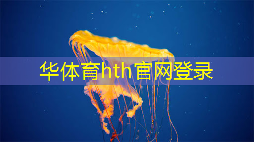华体会·(hth)体育：摸摸鱼3d颜色填方块游戏
