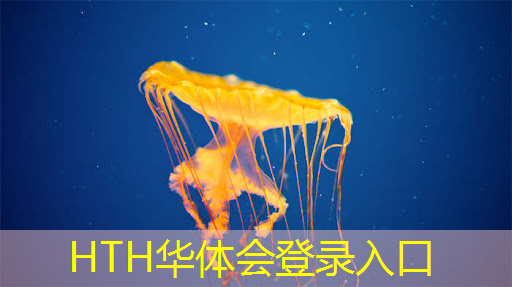 HTH华体会登录入口：潘多拉游戏机有哪些3d游戏