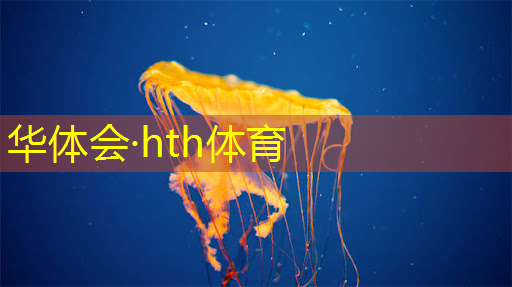 摸摸鱼3d颜色填方块游戏