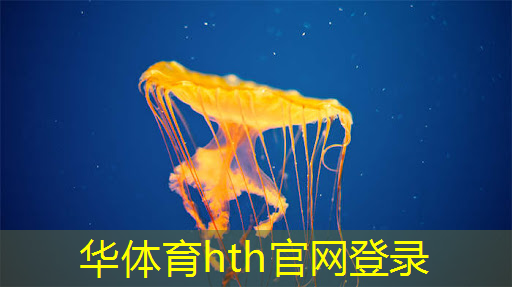 微信小程序游戏找乌龟